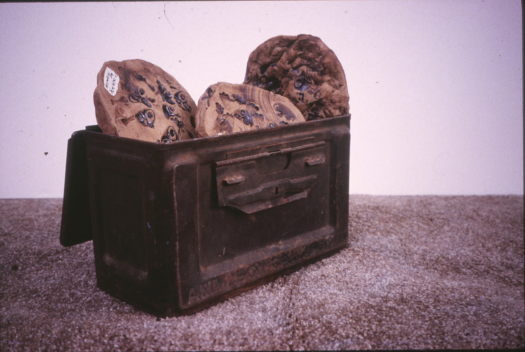 Fossils from the Roswell Formation, ceramic and found object by Lynn Charles Foster